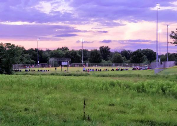 2020-07-24_Charles Holl Memorial Field0001.JPG