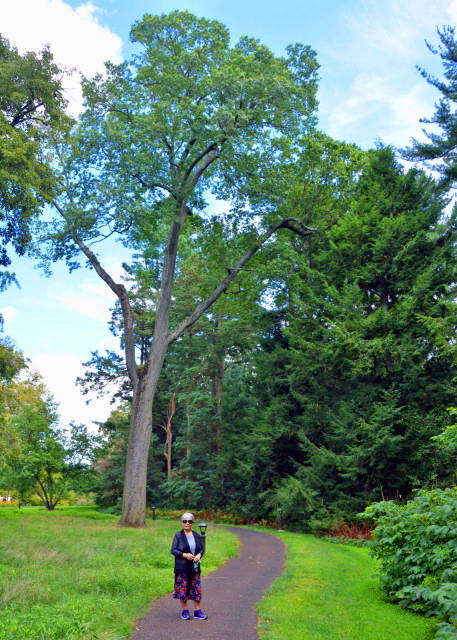 2020-08-30_Great Lawn-80001.JPG