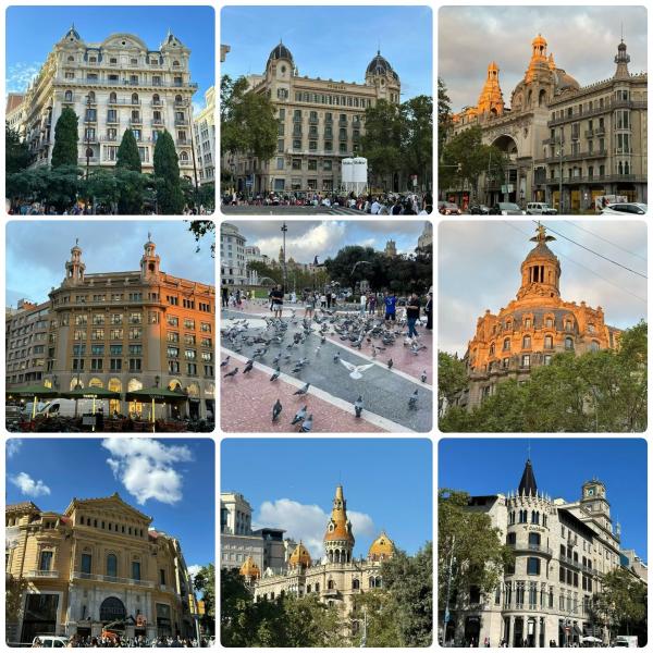 1766068598469257.jpg 87BA4245-DFE1-45B0-A1D8-FB7182EBDA63.jpg