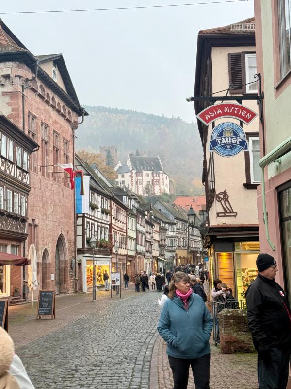 1766077235140135.jpeg IMG_1667.jpeg