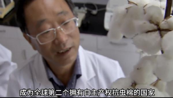 郭三堆与抗虫棉.png