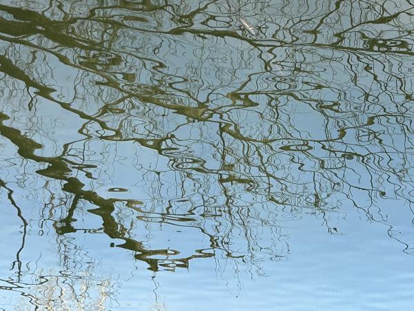 1766102076815127.jpg 0 IMG_6417 (自定义).JPG