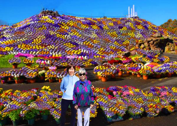 2021-05-31_Pansies @ Ott's Exotic Plants-20001.JPG