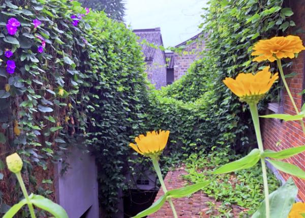 2019-07-18_Huaji Hotel Interior0001.JPG