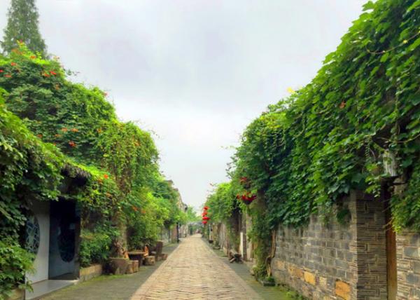 2019-07-18_Laomen East Pedestrian Street-20001.JPG