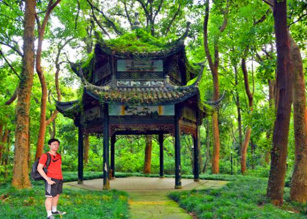 2019-07-21_Dingjia Mtn_Unknown Pavillon-10001.jpg