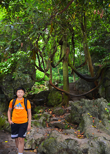 2019-07-22_Velvet Bean-10001.JPG