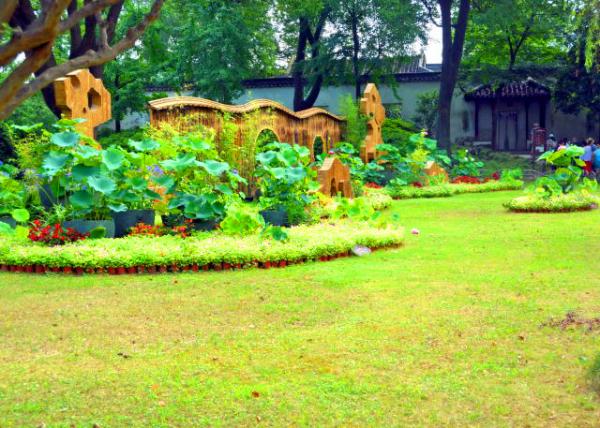 2019-07-23_Bonsai Garden-20001.JPG