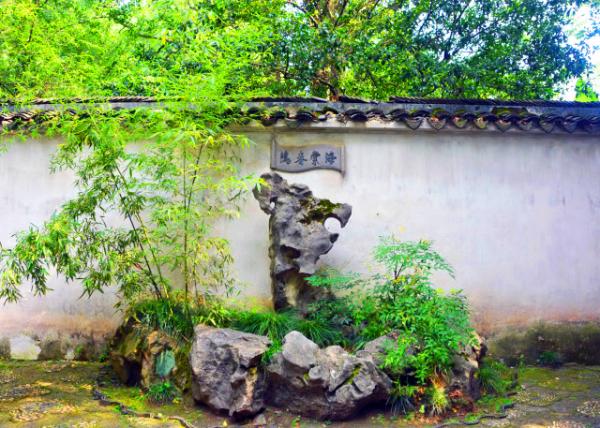 2019-07-23_Flowering Crabapple's Spring Bedding-30001.JPG