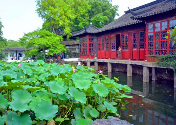 2019-07-23_Hall of 18 Camellias-50001.JPG