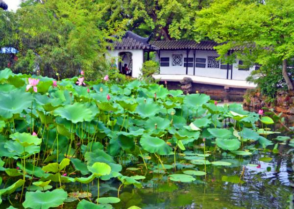 2019-07-23_Magnolia Hall0001.JPG