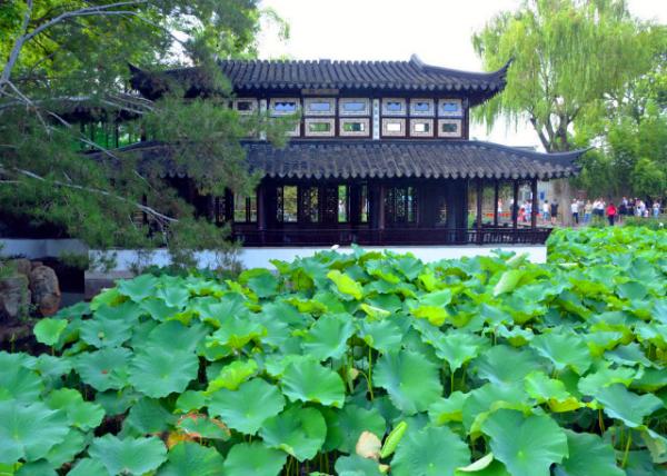 2019-07-23_Mountain-in-View Tower-40001.JPG