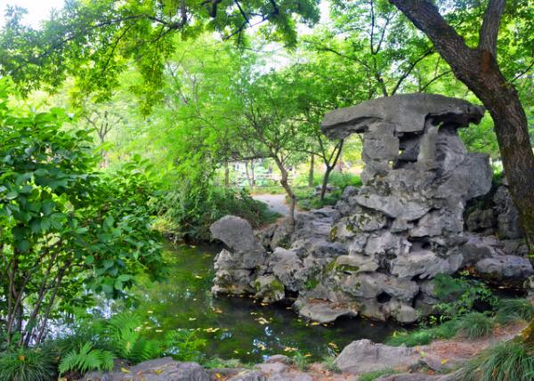 2019-07-23_Taihu Rockery-20001.JPG