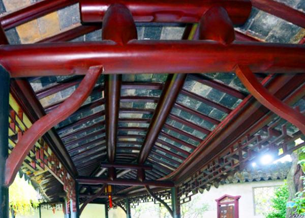 2019-07-23_Willows'Shade and Winding Path-30001.JPG