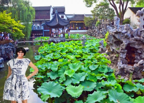 2019-07-23_Mid-Lake or Waterfall-in-View Pavilion-10001.jpg