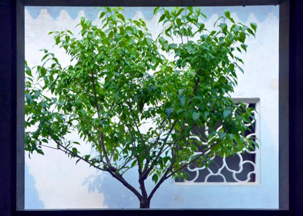 2019-07-23_Pavilion of Contrast0001.JPG