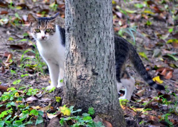 2019-07-24_Dragon Li0001.JPG