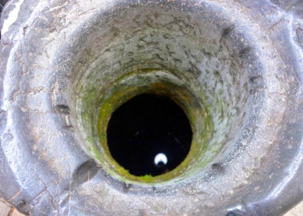 2019-07-24_Spring of Simplicity and Honesty-30001.JPG