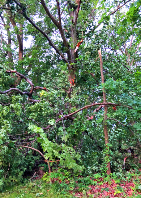 2020-06-03_Derecho Ruin �׿Ʋм�0001.JPG