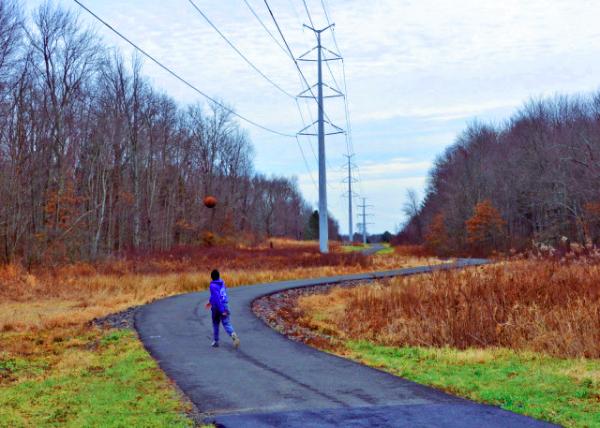 2017-12-24_Horsham Powerline Trail ����ķ���²���-70001.JPG