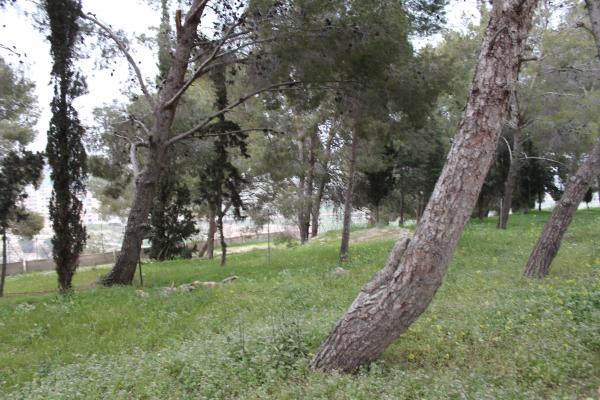 99 IMG_3852 (Custom).JPG