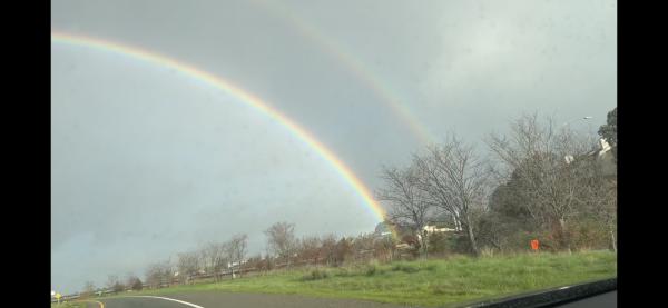 1766890623899248.png IMG_3080.png