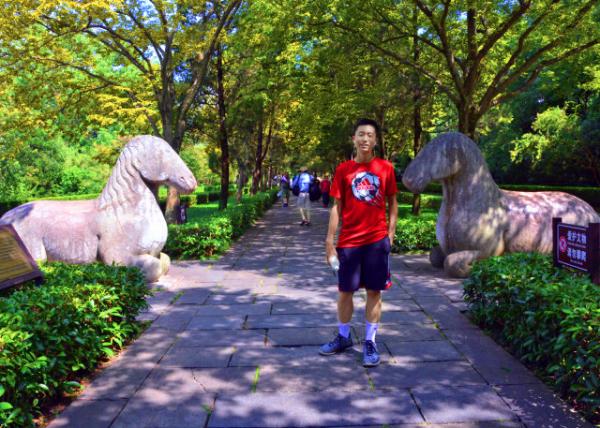 2018-08-20_Stone Elephant Rd_Stone Horse-10001.JPG