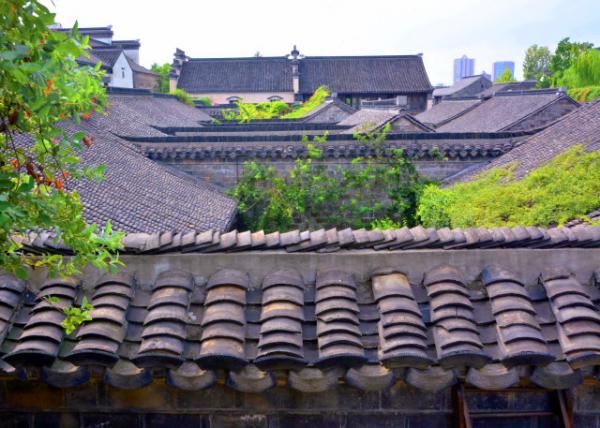 2018-08-19_Flower Trace Hotel_0001.JPG