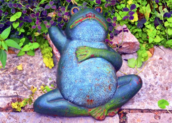 2018-08-19_Flower Trace Hotel_Internet Celebrated Frog0001.JPG