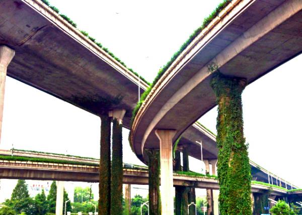 2018-08-22_Nanjing_Hwy-20001.JPG