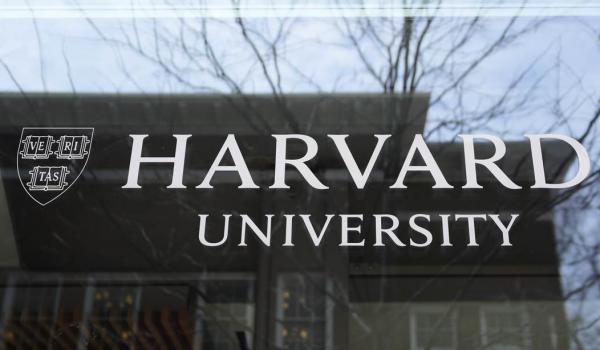 1767195169133711.jpeg IMG_3332.jpeg