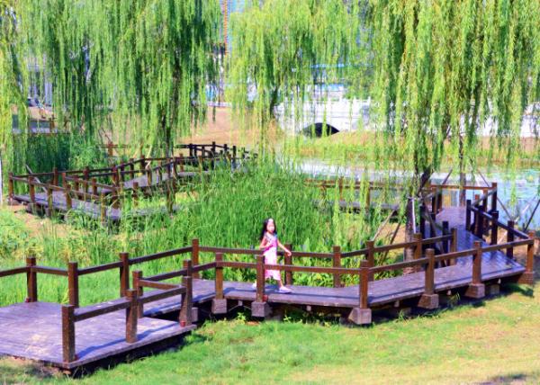 2018-08-24_Primus Place Cultural Park_Butterfly Garden-40001.JPG