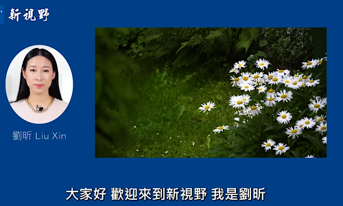 1767297767602564.png IMG_3683.png