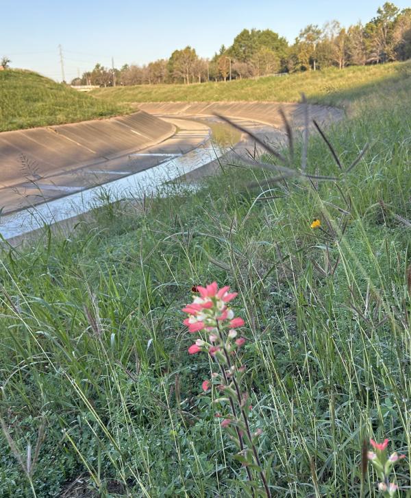 1767318746391651.jpg 01 IMG_7525 (自定义) (自定义).JPG