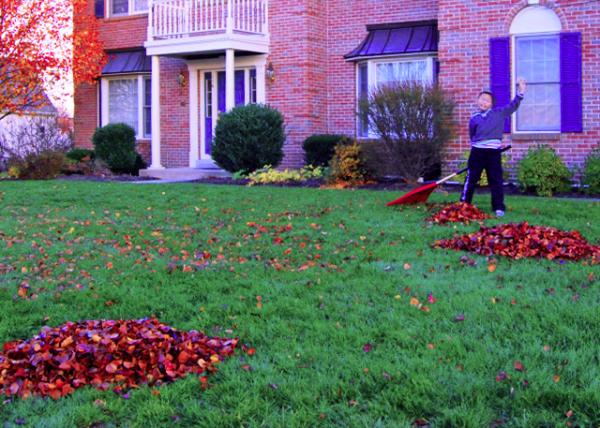 2010-11-28_Rake Leaves-30001.JPG