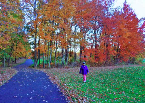 2015-10-26_Rose Twig Trail @ Windlestrae Park ��ݹ�԰��õ��֦����-60001.JPG