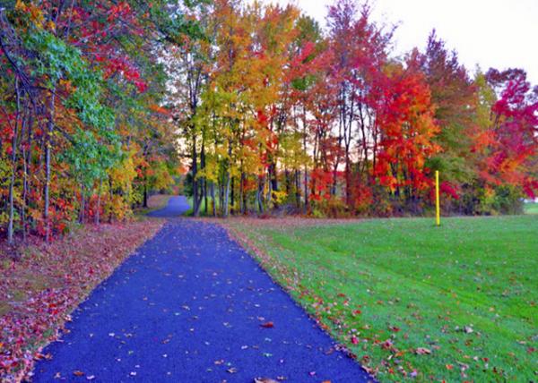 2015-10-20_Rose Trail-20001.JPG