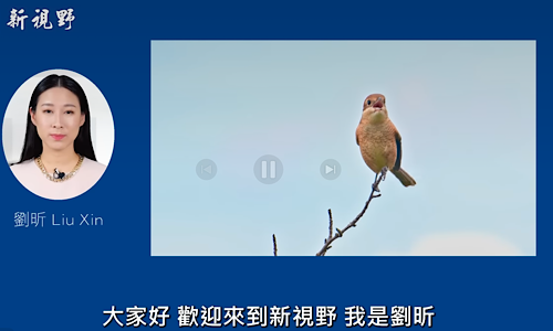 1767467292786281.png IMG_4615.png