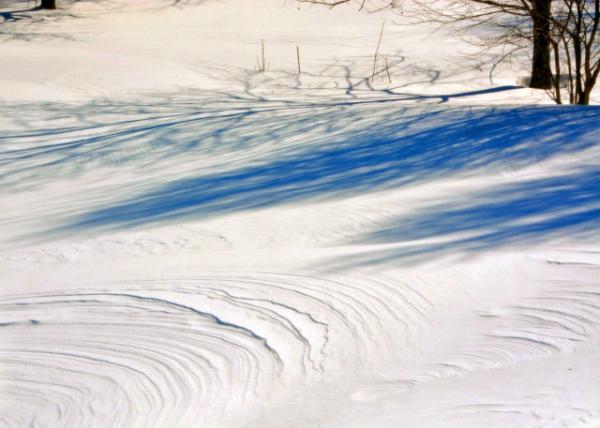 2016-01-24_Snow Drift ѩ��0001.JPG
