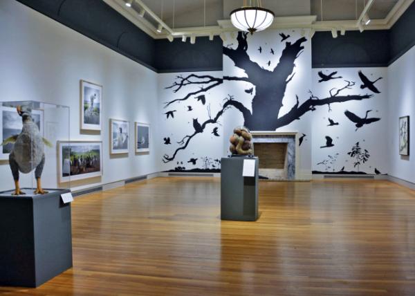 2016-03-10_Berman Museum of Art_Contemporary Art ������-40001.JPG