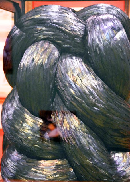 2016-03-10_Rooster Feathers by Kate MccGwire ���ء���������������ë��0001.JPG