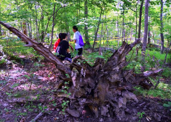 2016-08-27_Wild Survival_Scavenger Hunt Team B Ұ��������Ѱ����-20001.JPG