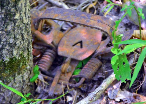 2016-08-27_Wild Survival_Scavenger Hunt_Foot Traps �Ų�����0001.JPG