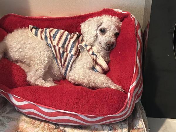 Weixin Image_20260105102055.jpg