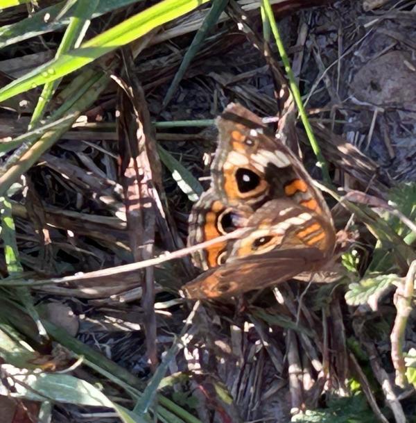 IMG_7645 (�Զ���).JPG