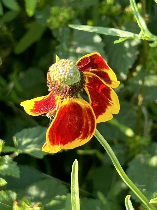 IMG_7678 (�Զ���).JPG