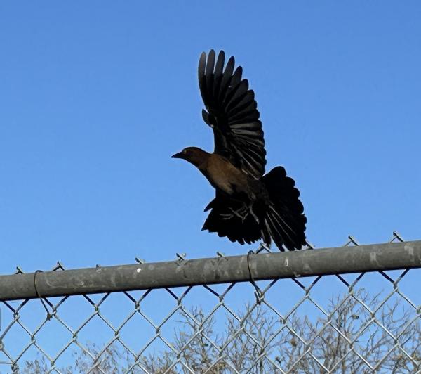 IMG_7663 (�Զ���).JPG