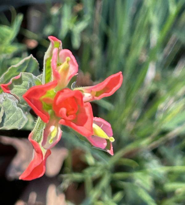 IMG_7686 (�Զ���).JPG