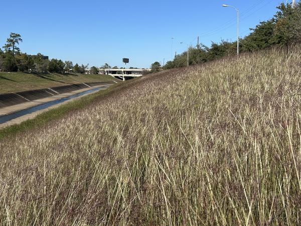 IMG_7700 (�Զ���).JPG