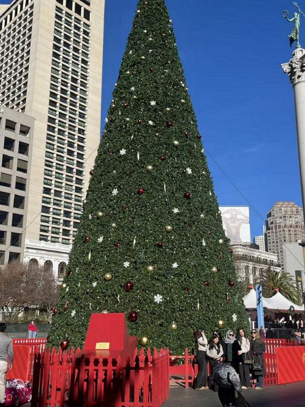 1767706541280482.jpg UDVM0239.JPG